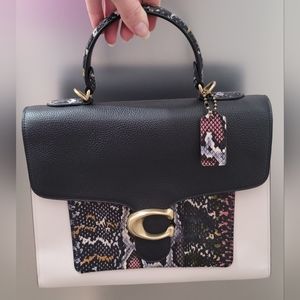 Rare Tabby Color block Snakeskin